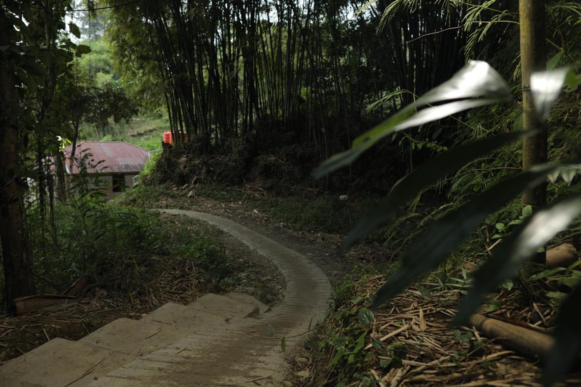 Mama Tia Family Homestay Rantepao Exterior foto