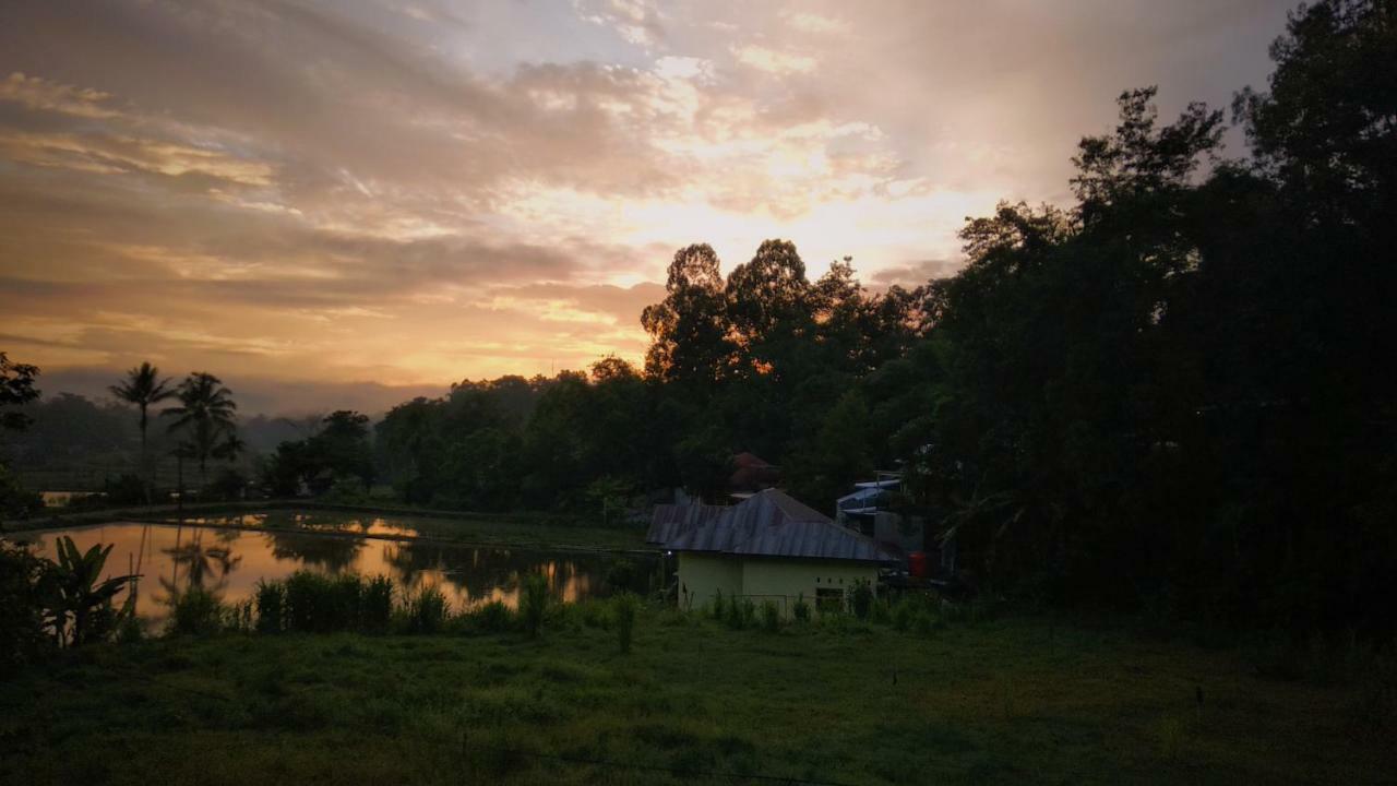 Mama Tia Family Homestay Rantepao Exterior foto